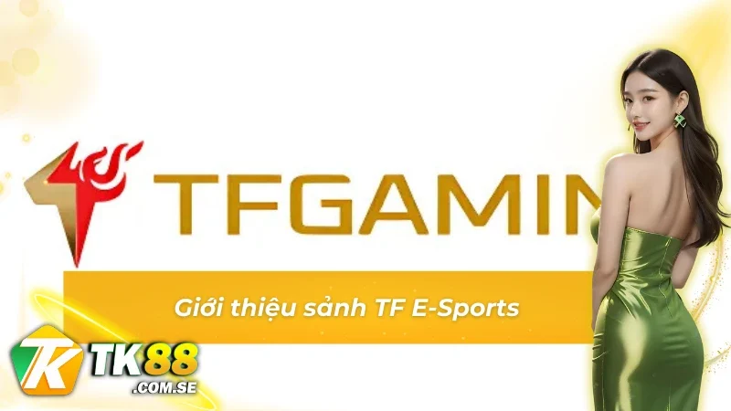 Thông tin giới thiệu chung về sảnh game TF E-Sports